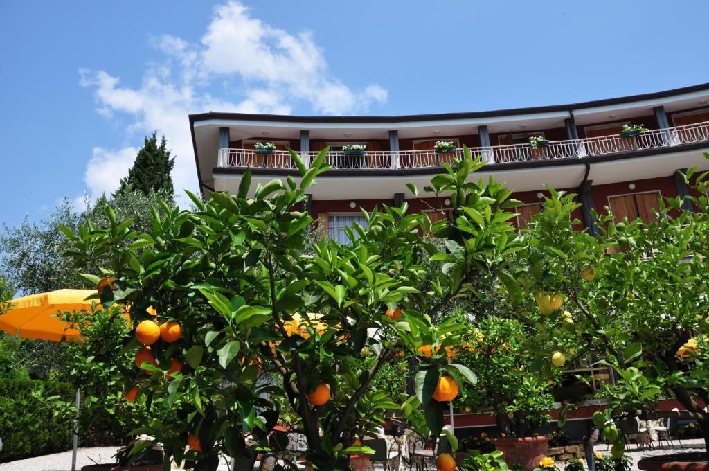 Hotel Continental ガルダ エクステリア 写真